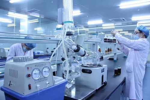 中思诺网络科技荣膺2021年度国家高新技术企业认定